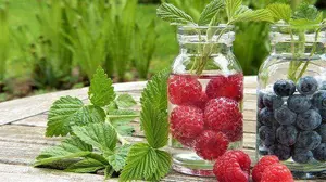 Simple Stage 1 bariatric diet menu ideas, FREE recipes, and pro tips straight from the desk of a bariatric dietitian.