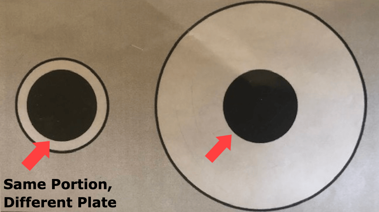 bariatric portion sizes plate comparison